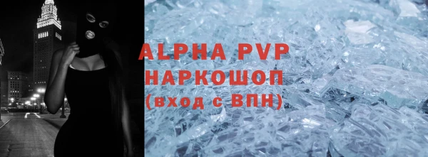 твердый Козельск