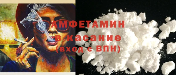 твердый Козельск