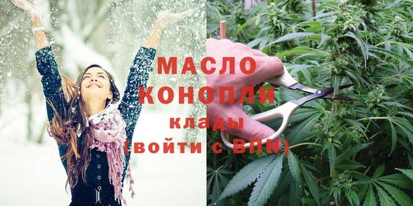 твердый Козельск