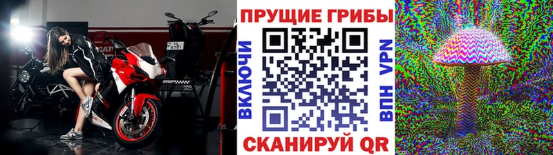 купить   Нижняя Салда  Псилоцибиновые грибы прущие грибы 